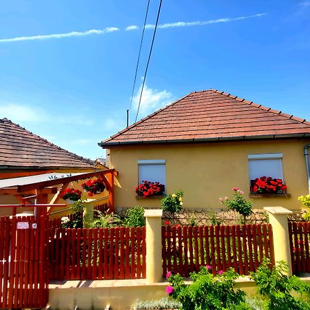Kata Vendeghaz Διαμέρισμα Sátoraljaújhely Εξωτερικό φωτογραφία